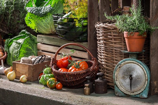 Comment créer un festival de films documentaires sur les traditions culinaires du monde?